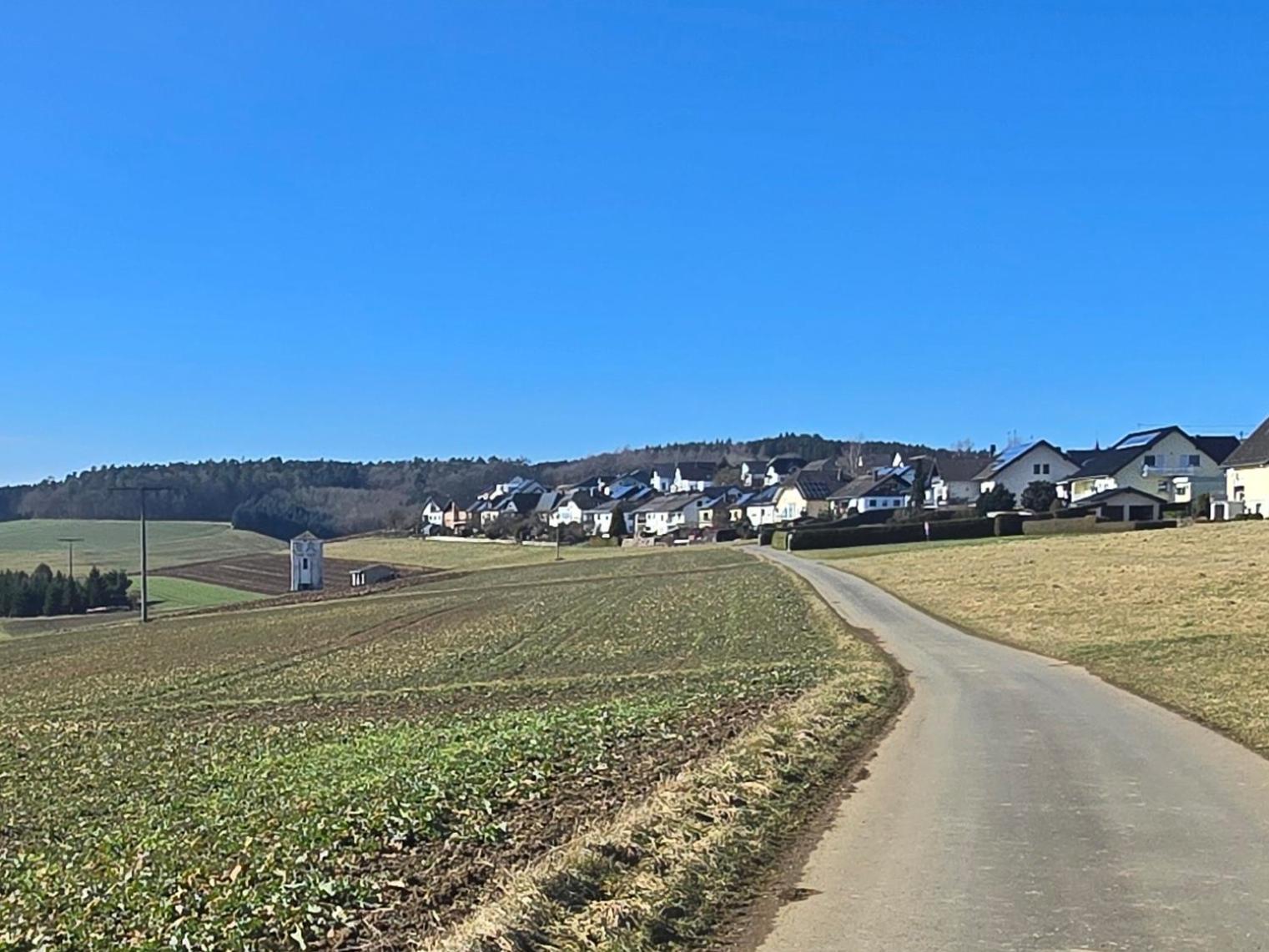 Haus Marvin Dottingen (Rhineland-Palatinate) Exterior foto